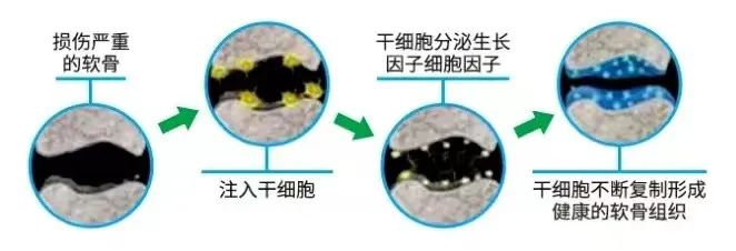 微信图片_20250716102610 微信图片_20250716102610