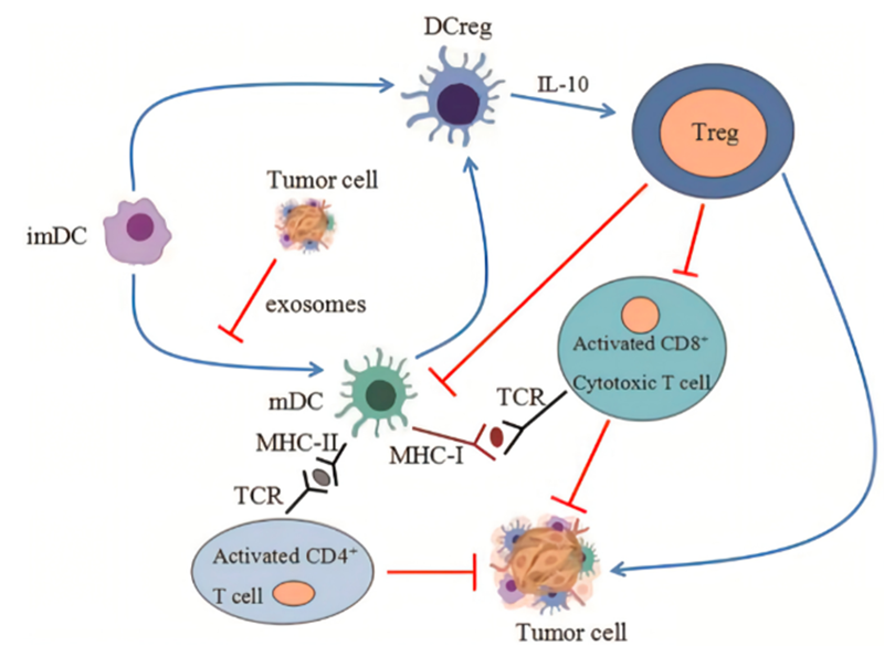 微信图片_2025-08-06_132225_824 微信图片_2025-08-06_132225_824