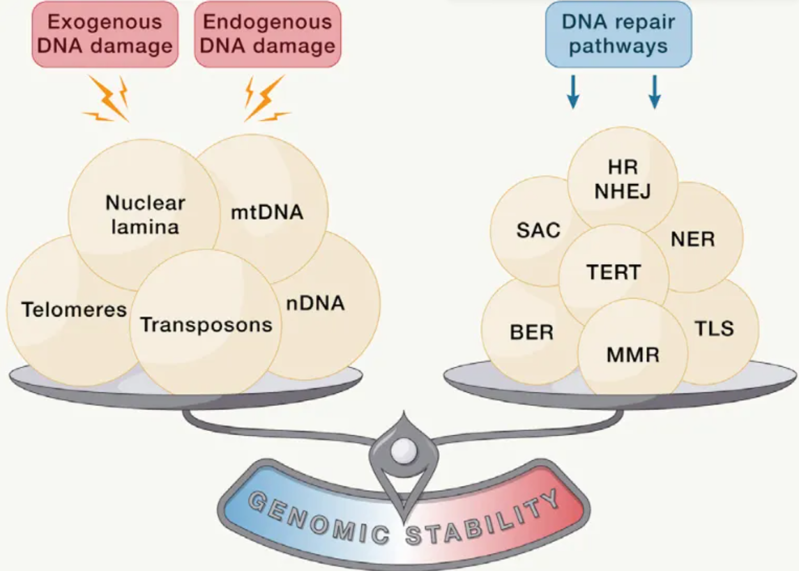 wechat_2025-08-13_161119_665 wechat_2025-08-13_161119_665
