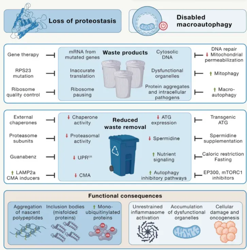 wechat_2025-08-13_163309_730 wechat_2025-08-13_163309_730