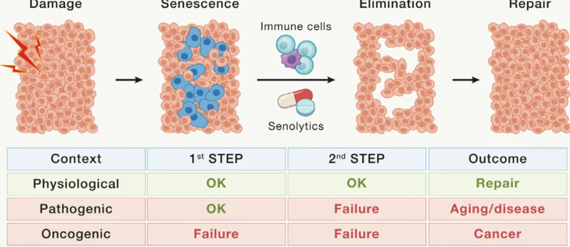 wechat_2025-08-13_163613_792 wechat_2025-08-13_163613_792