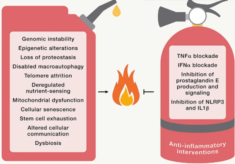 wechat_2025-08-13_163917_974 wechat_2025-08-13_163917_974