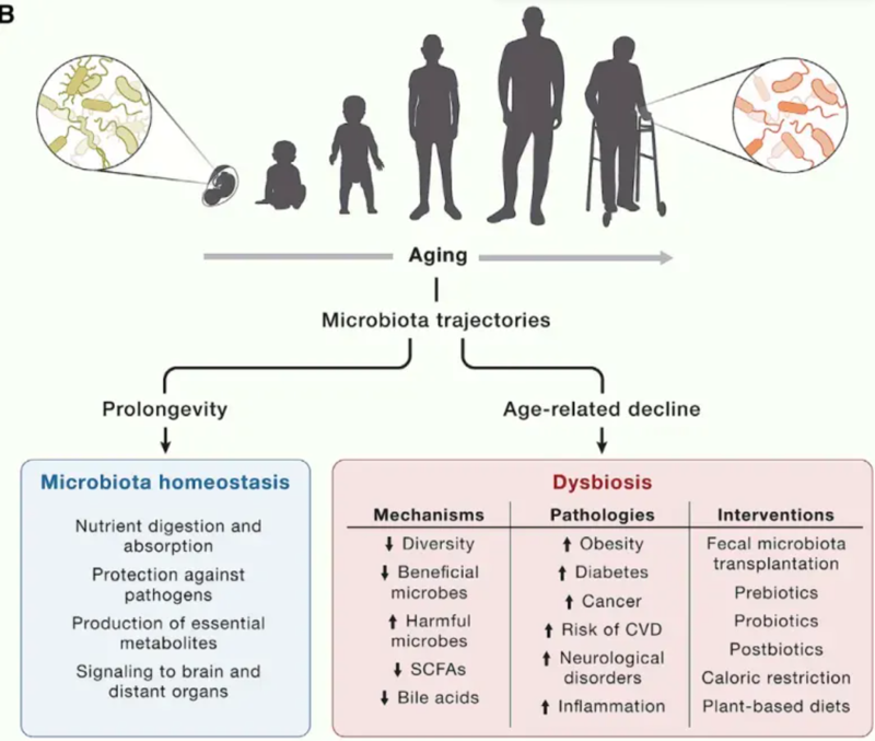 wechat_2025-08-13_164003_985 wechat_2025-08-13_164003_985